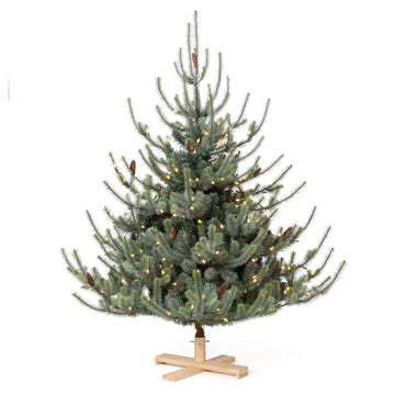 Park Hill Blue Spruce Christmas Tree, 5.5' Tree Lot