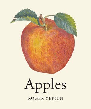 Apples