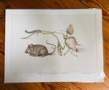 “Study of Jan Brueghel Painting in Watercolor” by Jesse Gardner