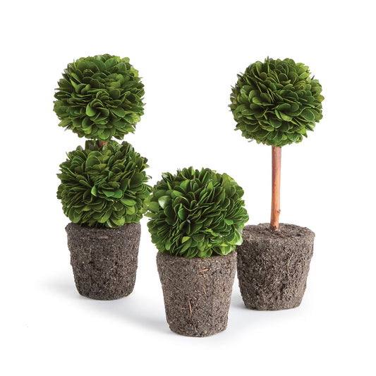 Boxwood Mini Topiary Drop-Ins, S/3