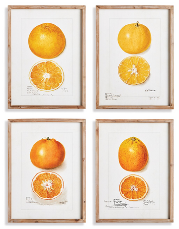 Citrus Study