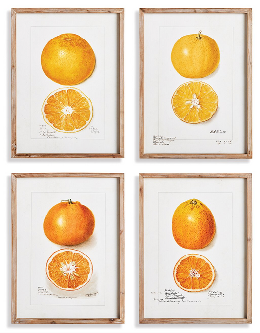 Citrus Study