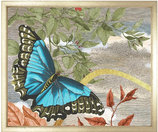 Garden Of Mariposa