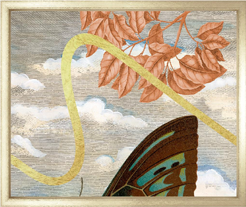 Garden of Mariposa