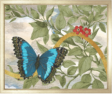 Garden of Mariposa