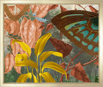 Garden of Mariposa