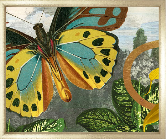 Garden of Mariposa