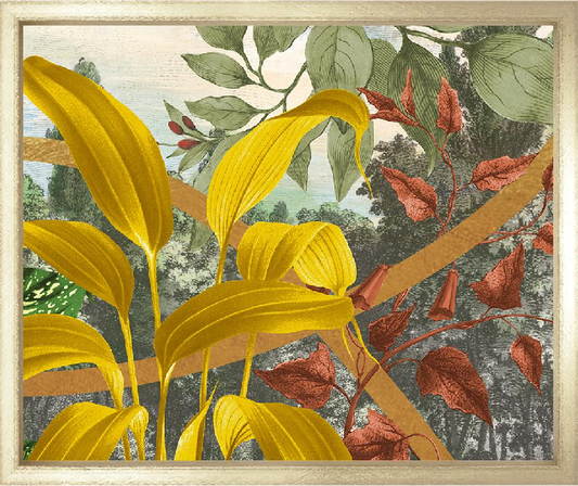 Garden of Mariposa
