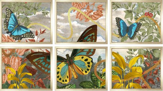 Garden of Mariposa